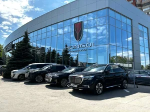 Изображение HONGQI АГАТ НА КАЗАНСКОМ
