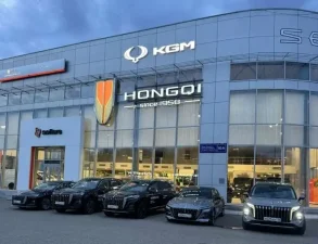 Изображение HONGQI ТТС