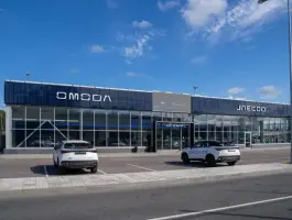 Автополе Omoda