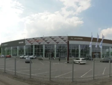 Сильвер Omoda